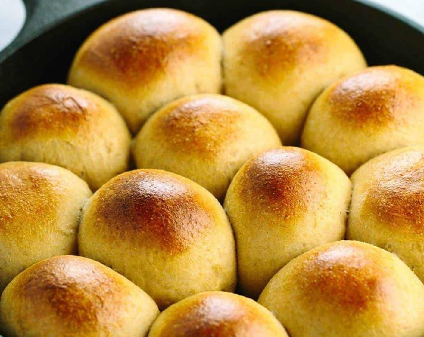 Whole Wheat Dinner Rolls