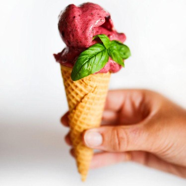Raspberry Basil Nice Cream Recipe | SideChef