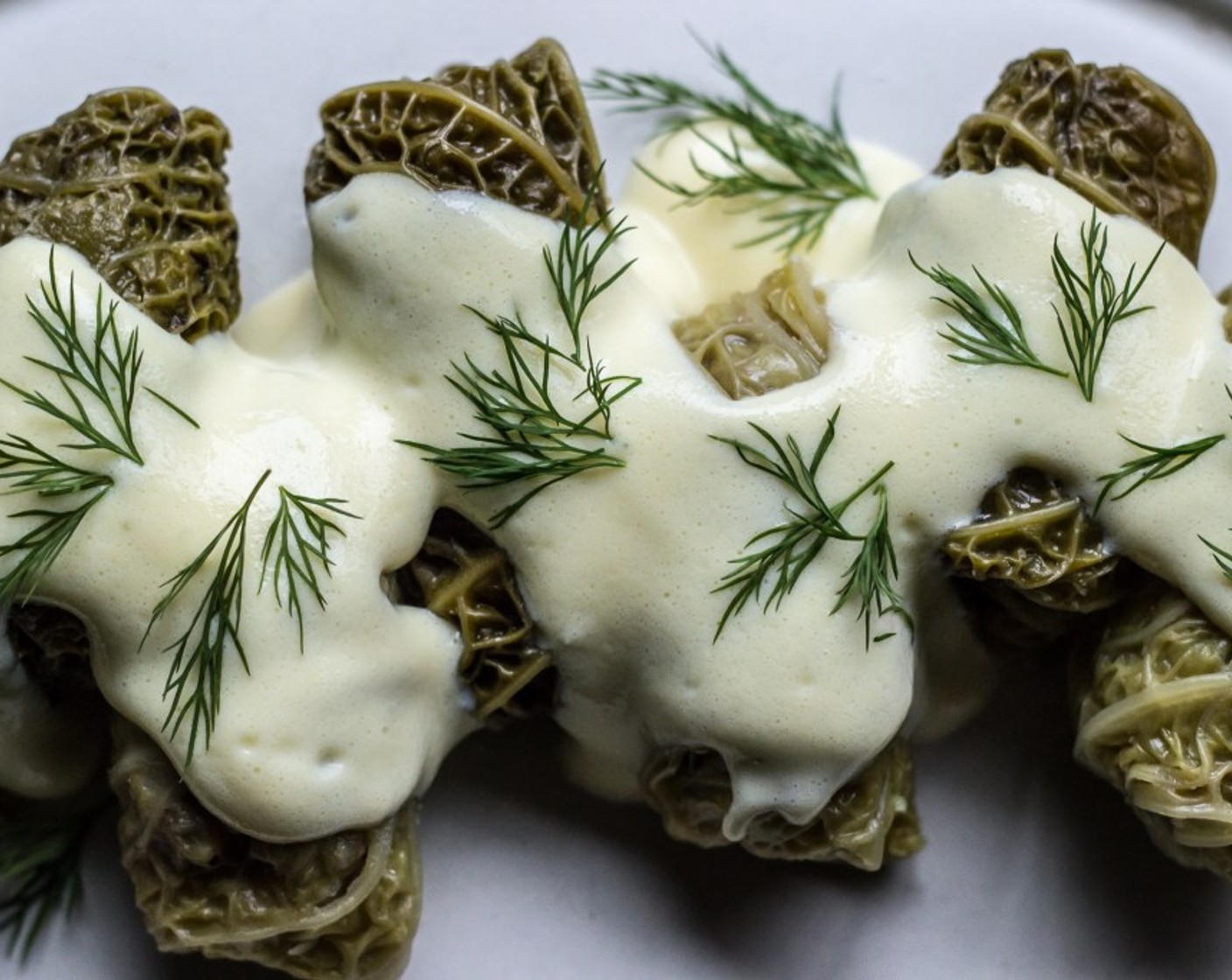 step 14 Spoon avgolemono sauce over the cabbage rolls and garnish with Fresh Dill (to taste).