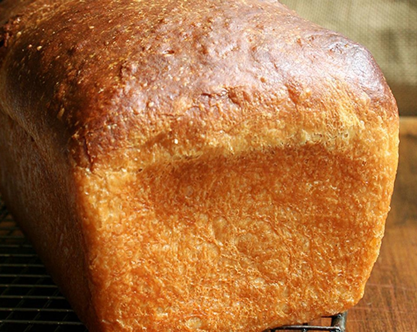 step 2 In a bowl, toss the Brioche (3 slices) with the Olive Oil (2 Tbsp) and a pinch of Kosher Salt (to taste). Add Herbes de Provence (1/2 tsp), if using.