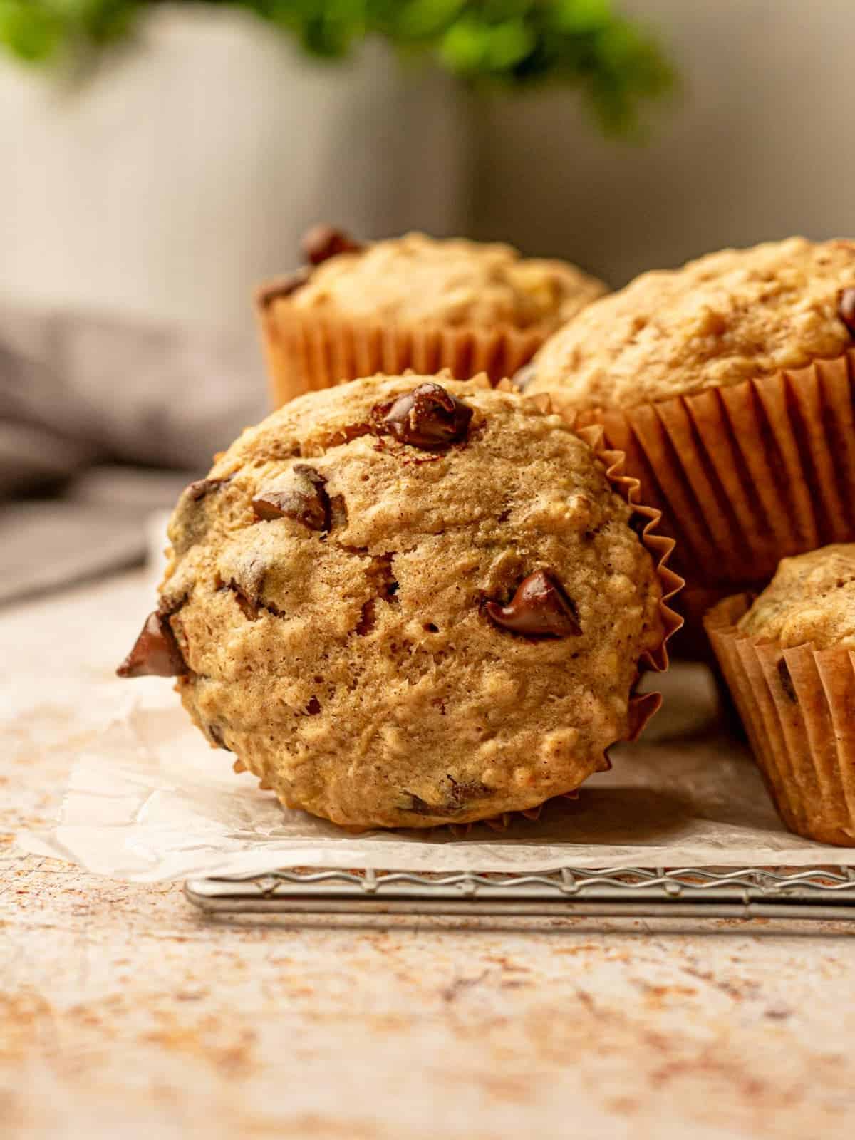 Oatmeal Chocolate Chip Banana Muffins Recipe SideChef