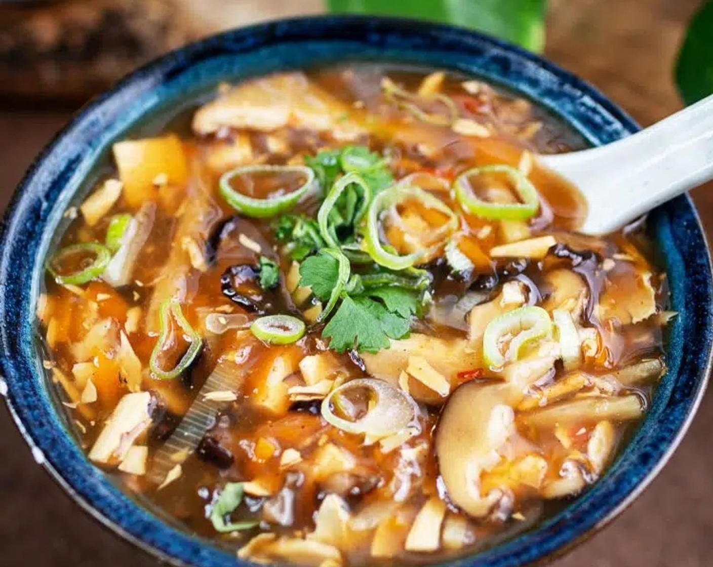 Vegan Hot and Sour Soup