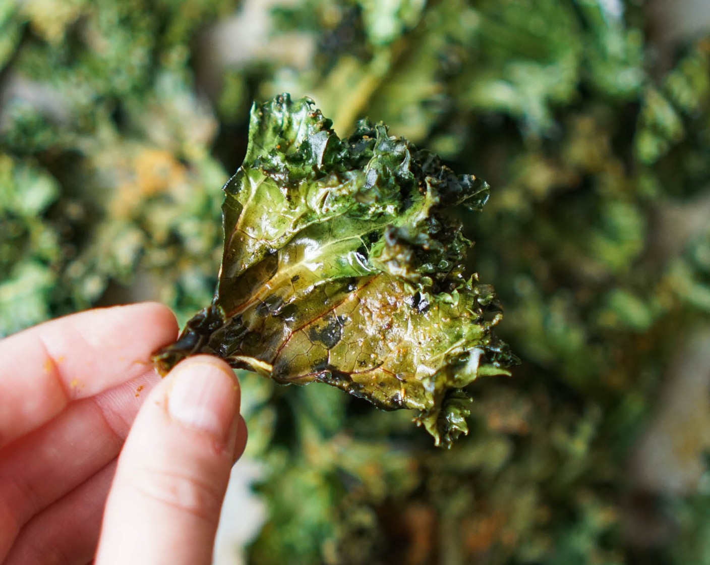 step 9 Wash the Kale (4 cups) and dry in salad spinner. Lay on a baking sheet and spray with olive or coconut oil until all the chips have been glistened.