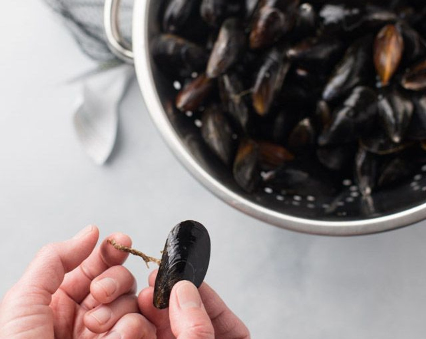 step 1 Clean and prepare Fresh Mussels (2 lb) by washing in a colander. If any mussels are slightly opened and do not close after tapped on, these mussels are dead and should be discarded. Remove any mussel "beards" (thread-like hairs protruding from the shell).