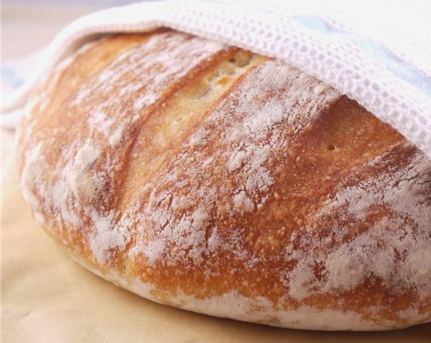 Artisan No Knead Bread