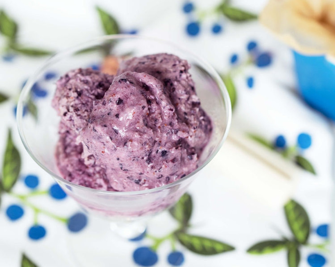 Homemade Blueberry Ice Cream