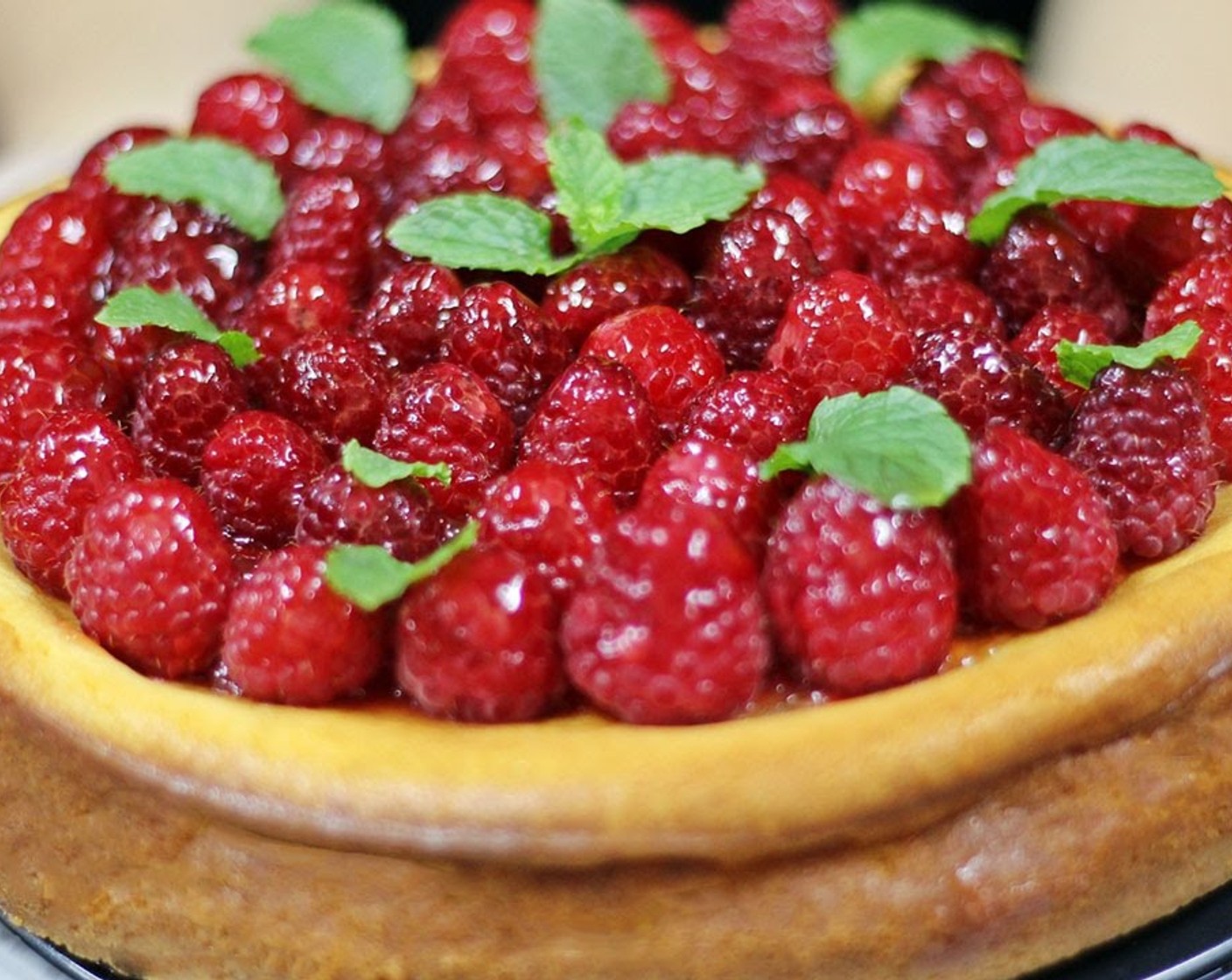 Raspberry Cheesecake