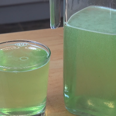 Drinkable Slime Recipe | SideChef