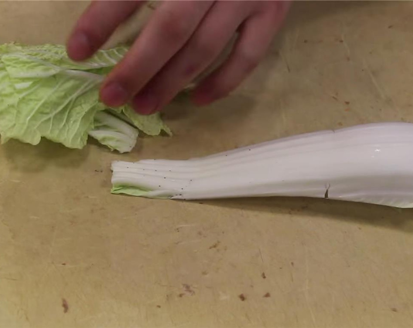 step 3 CutNapa Cabbage (1 cup), separating the leaves from the stalk. Cut the stalk into about 1 1/2-inches in length. Chop the Scallion (1 Tbsp),