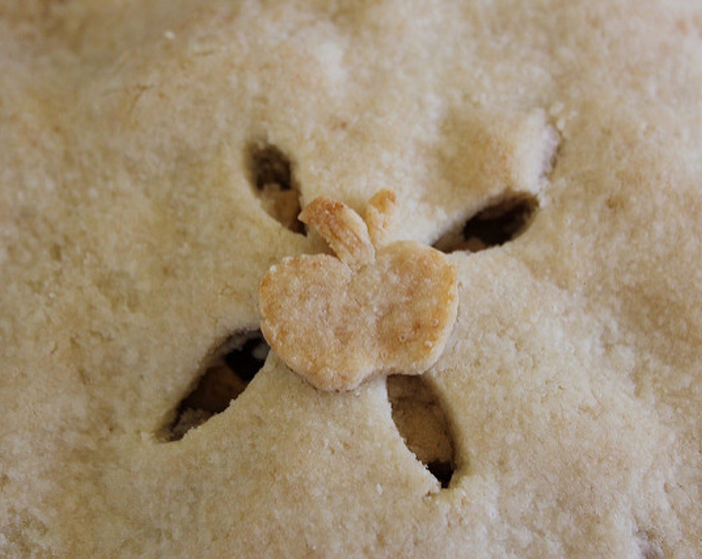 step 7 Don’t worry if it cracks, just continue to gently press it together with your fingers. Crimp or scallop the edges. Prick bottom of crust with a fork and place pie crust in the fridge until you are ready to use it.