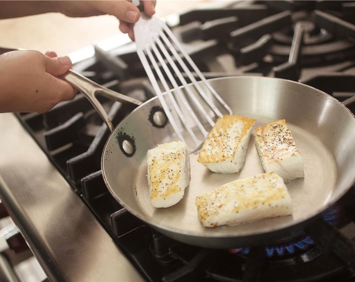 step 7 In a large saute pan over medium high heat, add Olive Oil (1 tsp). Sear fish on one side for two minutes.