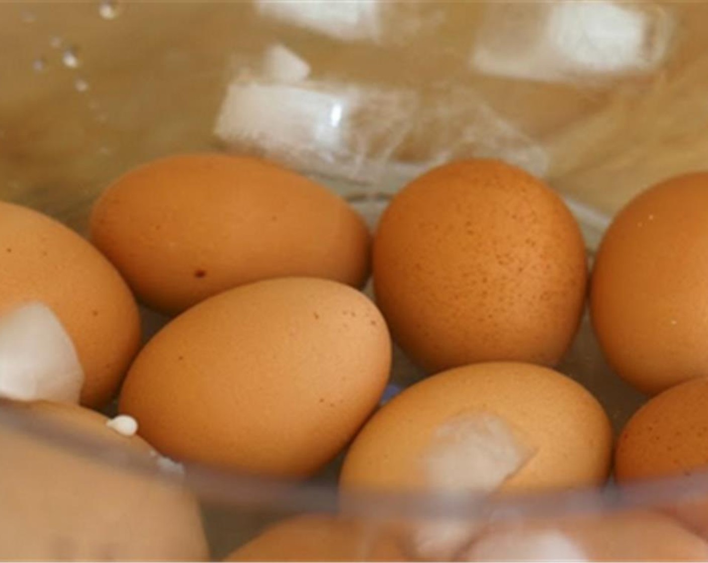 step 7 Place the Eggs (12) in a large pot, and cover them with water. Boil eggs until hard, approximately 12 to 14 minutes. Shock in ice water and peel once cooled under running water.