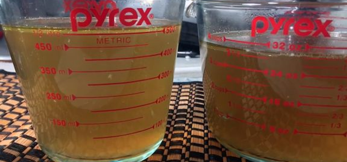 Easy Slow Cooker Chicken Stock Recipe | SideChef