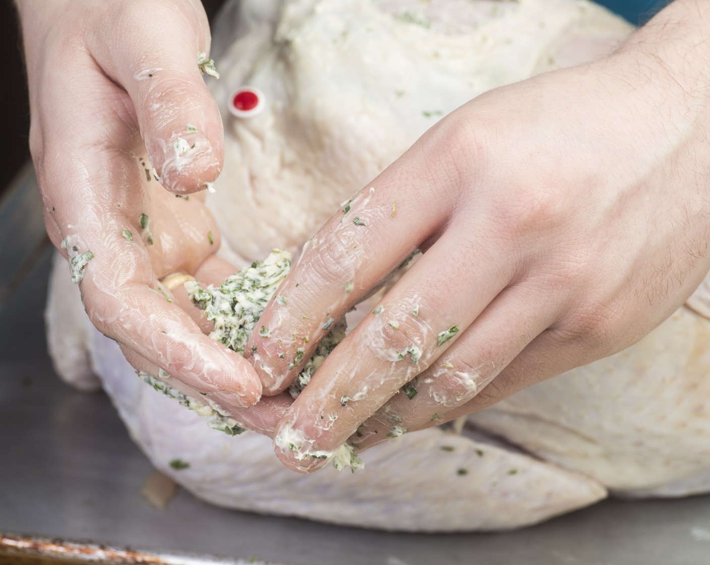 step 6 Rub citrus butter all over the outside of the bird and Chicken Drumsticks (4). Season with Salt (1/2 Tbsp) and Ground Black Pepper (1/2 Tbsp). Slice lemon and orange in half and place inside of turkey cavity. Add remaining herbs inside the turkey cavity as well. Roast for 1 hour.