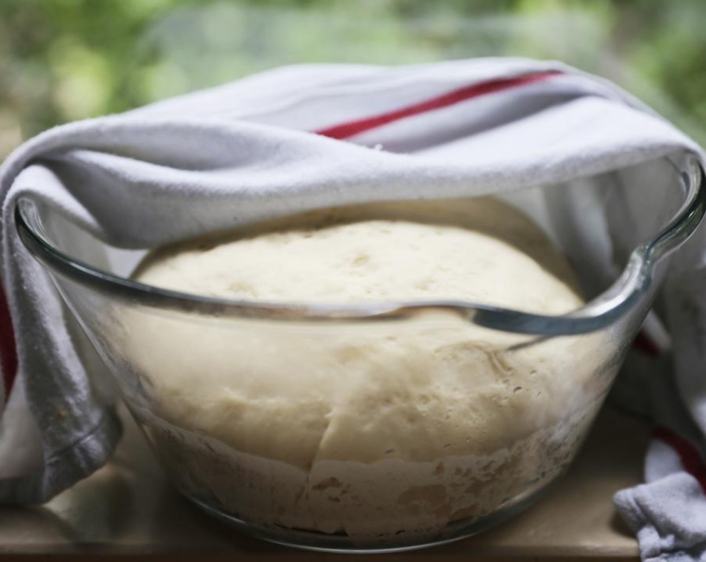 step 6 The dough should have doubled in size.