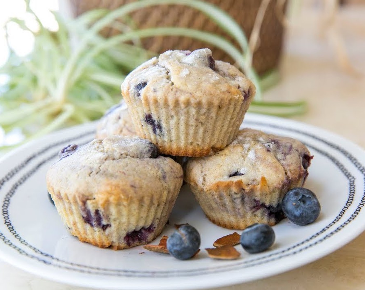 Spiced Blueberry Muffins