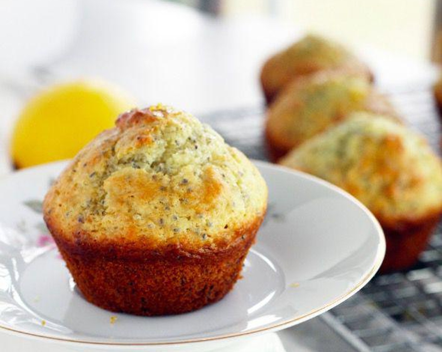 Lemon Chia Seed Muffins