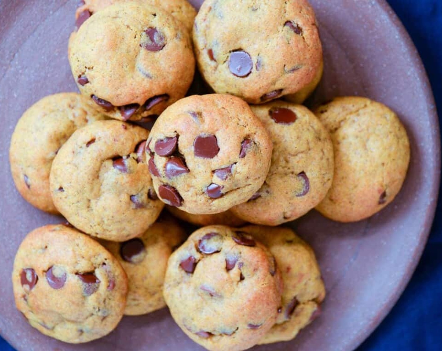 Pumpkin Chocolate Chip Cookies