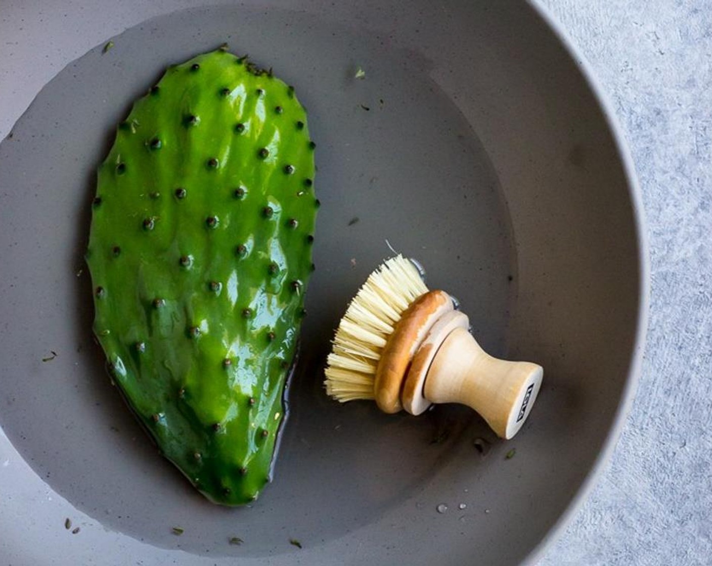 step 1 To prepare the Cactus Paddles (4), scrub them under water with a firm bristled brush. Wear a glove on the hand you are holding the paddle with to prevent yourself from getting any thorns in your fingers.