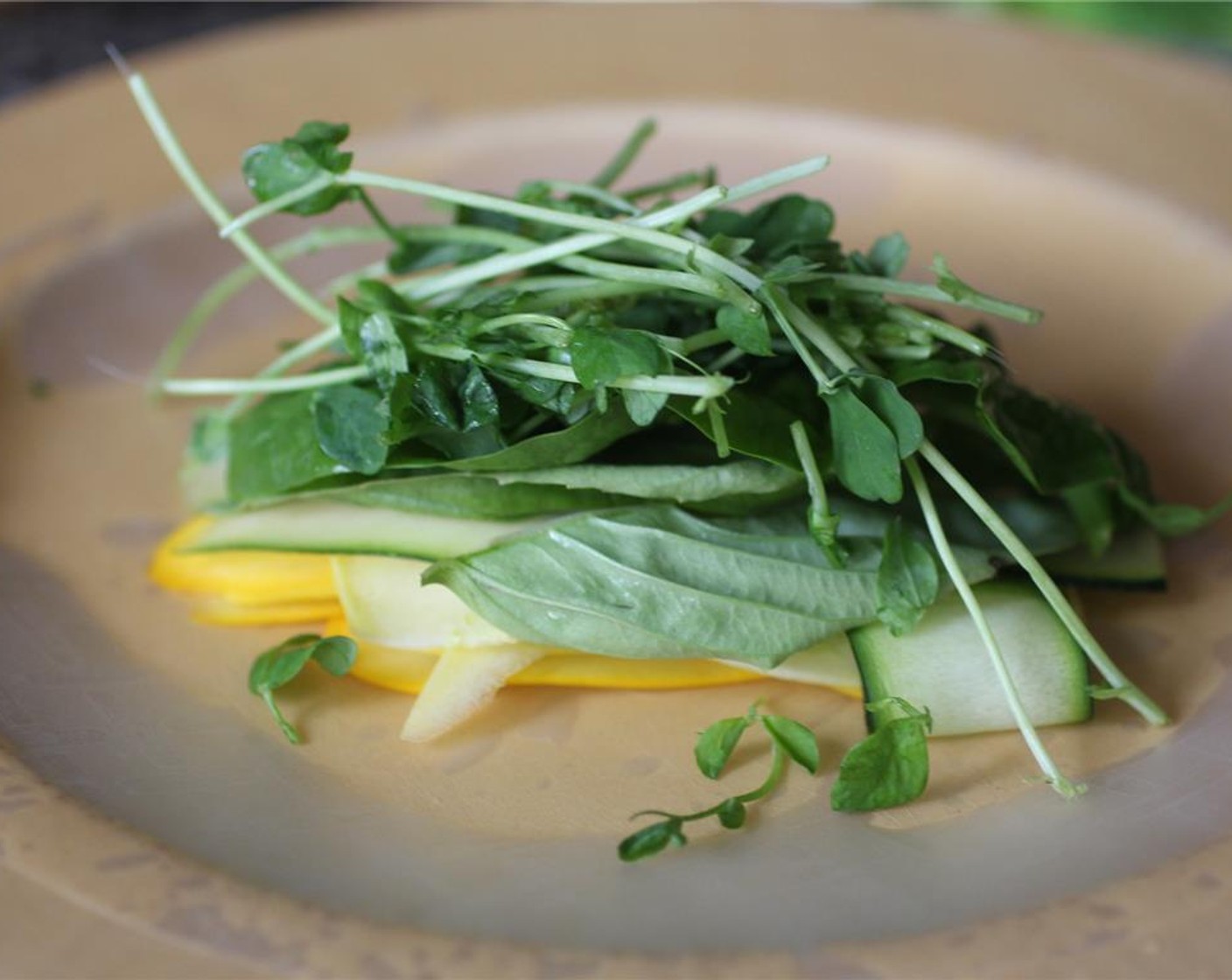 step 2 Making one roll at a time, wet the Rice Paper Wrappers (5 pieces) so it is pliable but not too sticky. Place the squash and zucchini in the first quarter of the wrapper, top with some Fresh Spinach (1 cup) Fresh Basil (1/2 cup) and Pea Shoots (1 cup).