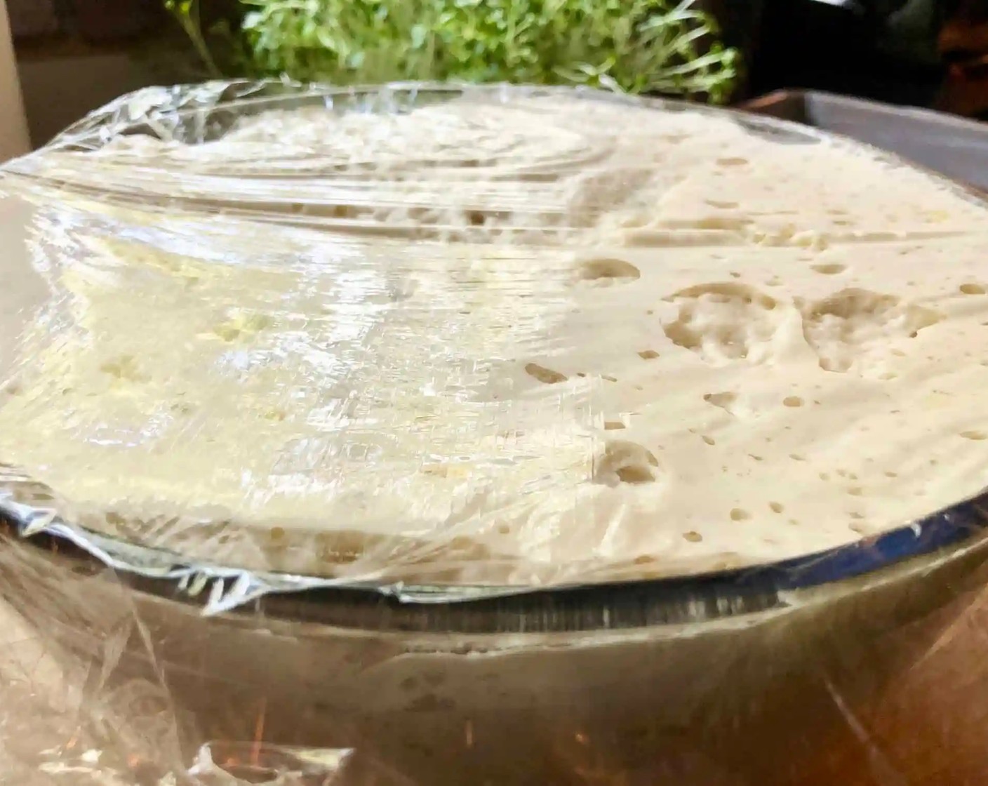 step 2 Cover the bowl with a damp tea towel or plastic wrap and set aside in a warm spot to rise for 1 1/2 to 2 hours, until the dough has doubled in size.