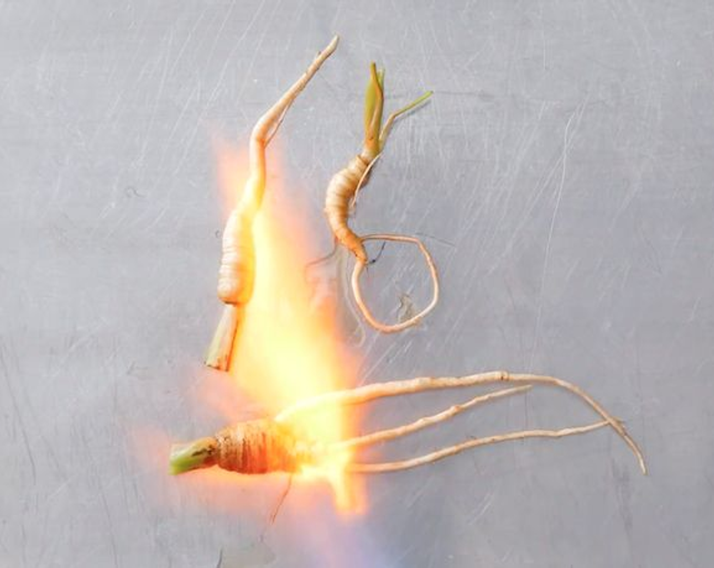 step 3 Torch the Baby Parsnips (3). You can also place them under a broiler if you don't own a flame torch.