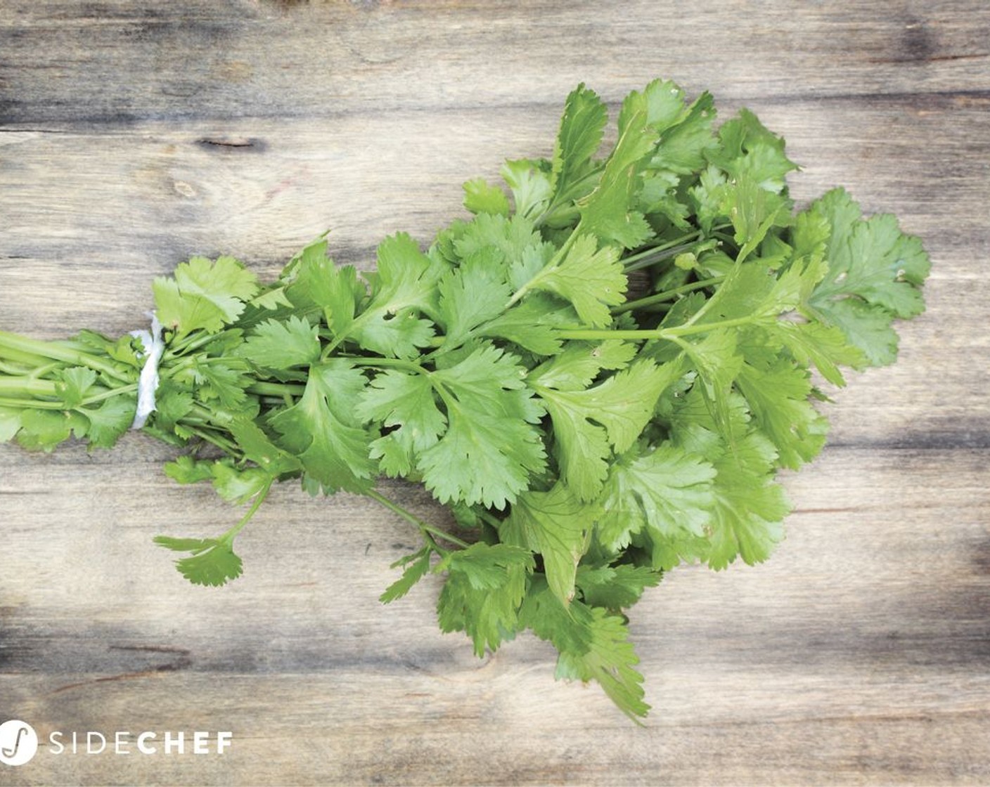 step 8 Chop the Fresh Cilantro (to taste).