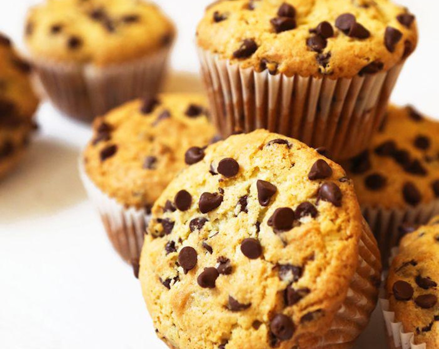 Chocolate Chip Muffins