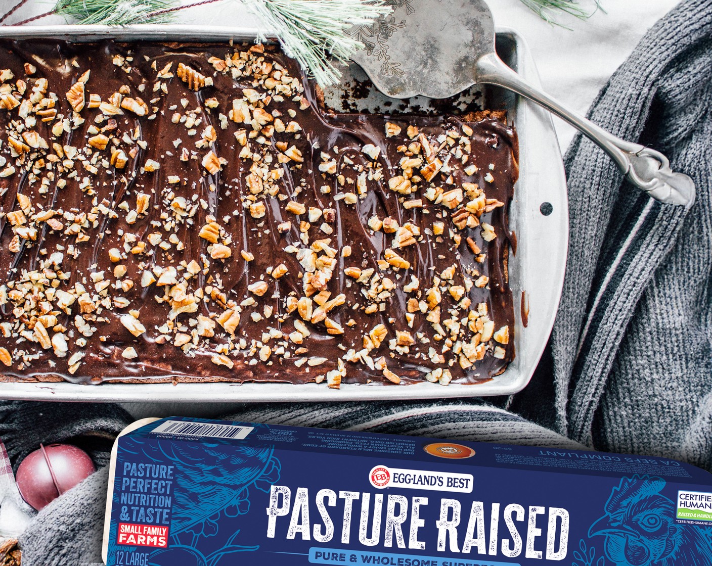 Dutch Delights with Hot Chocolate Ganache & Toasted Pecans