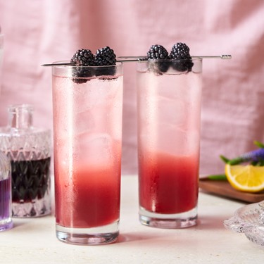 Blackberry Lavender Gin Fizz Recipe | SideChef