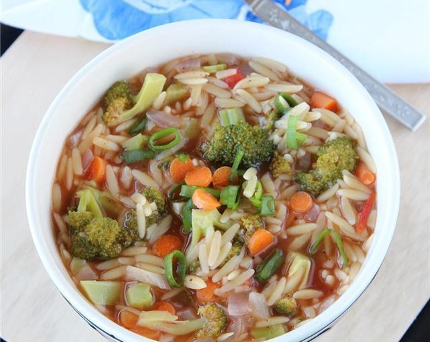 Orzo Vegetable Soup