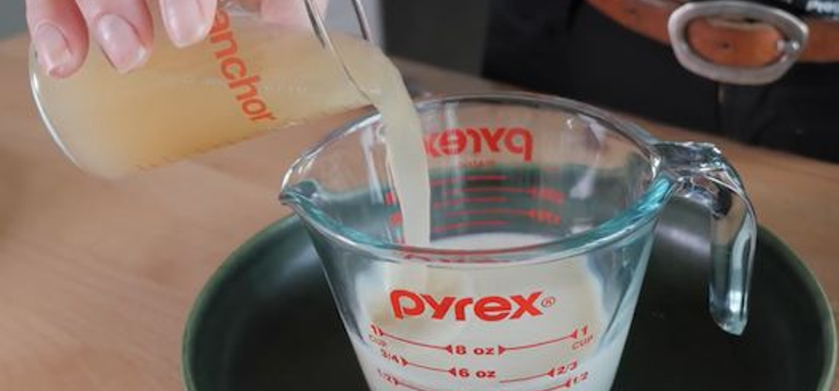 Vegan Chicken Fried Steak Recipe SideChef