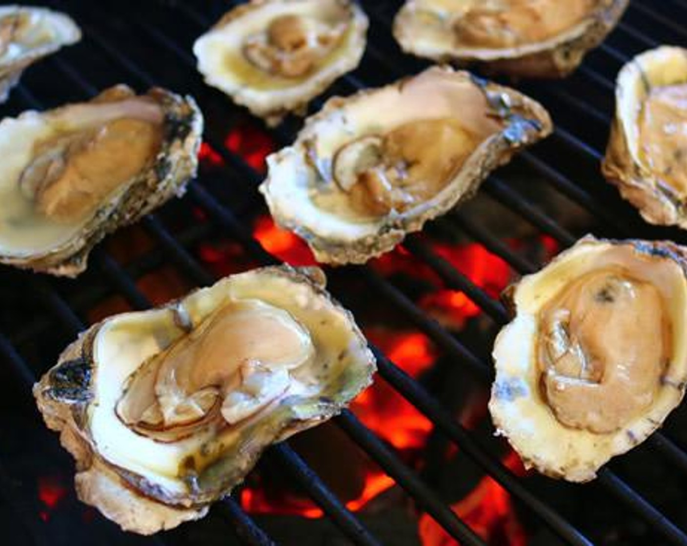 step 4 Place freshly shucked Oysters (12) directly on grill grate and cook for 3-4 minutes just until the liquid in the oysters starts to bubble.