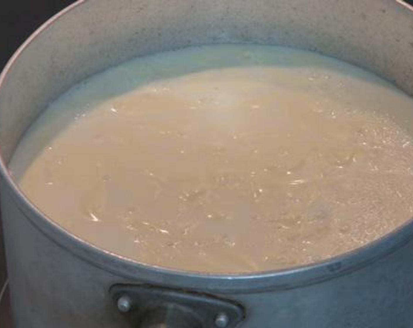 step 1 Into a pot, add your Whole Milk (8 cups), Heavy Cream (1 cup), and Salt (1 tsp). Give the mixture a good stir over a high heat for about 15 minutes.