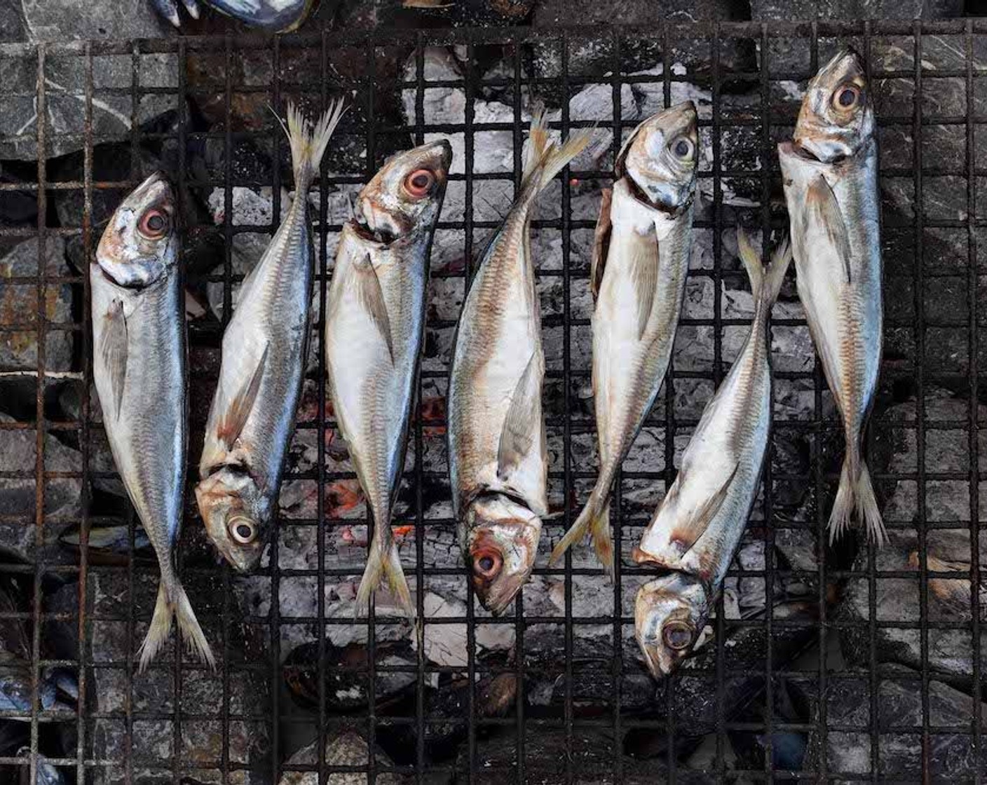 step 4 Oil a grid and grill the Horse Mackerel (15) over medium coals for about 3–4 minutes per side, using a small brush or sprig of rosemary to baste the cavity of each fish with salsa verde.