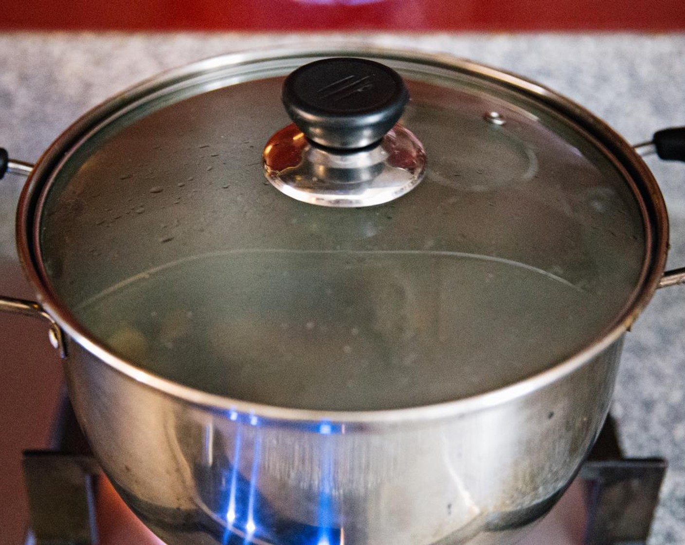 step 7 Cover the pot and stew at a medium heat for an hour.