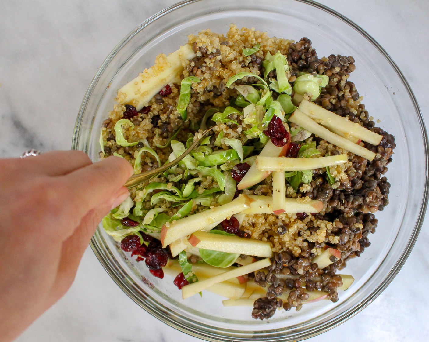 step 5 Once the lentils and quinoa finish cooking, add to the large bowl with brussels sprouts. Toss together with dressing and serve warm. Enjoy!