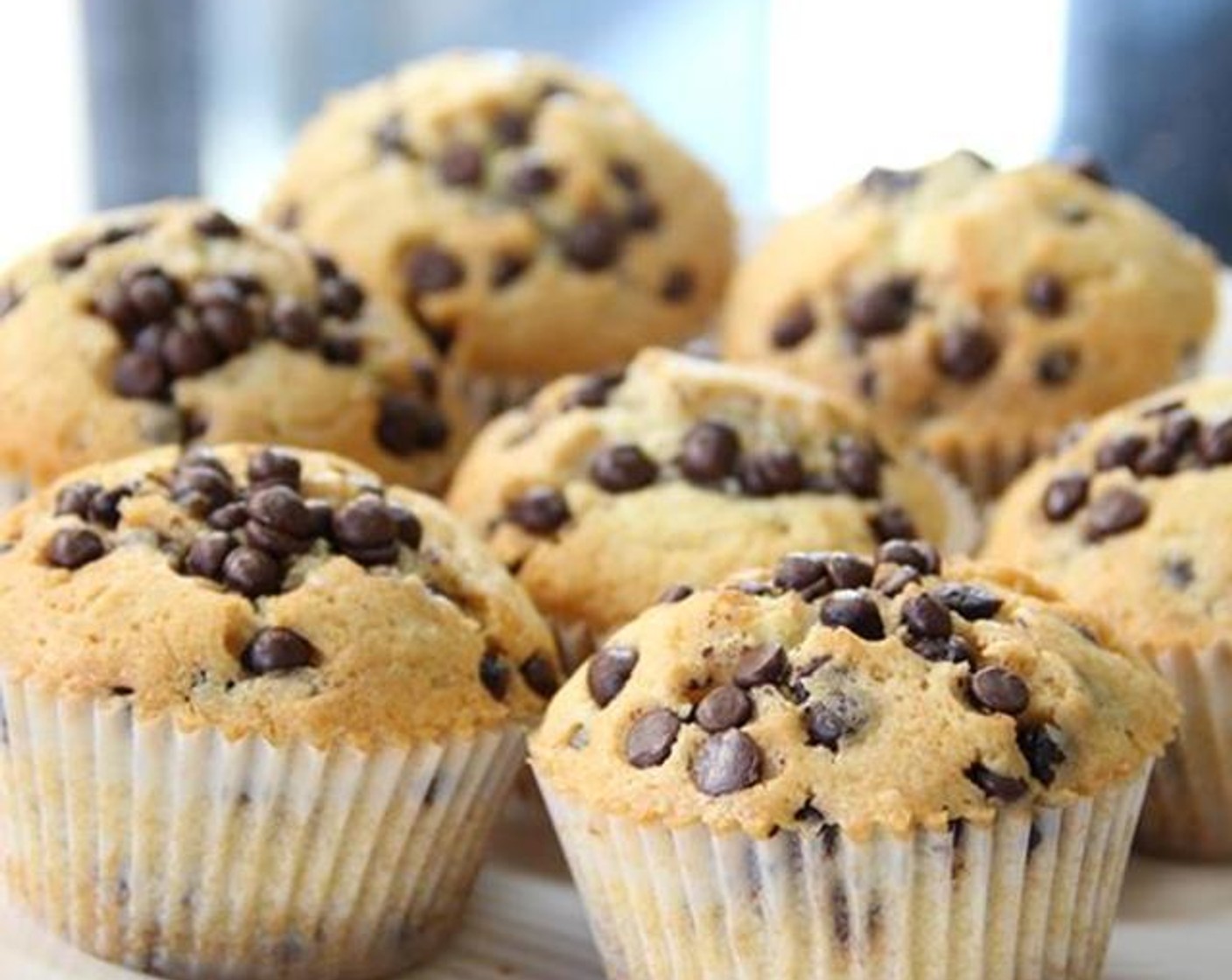 Chocolate Chip Muffins