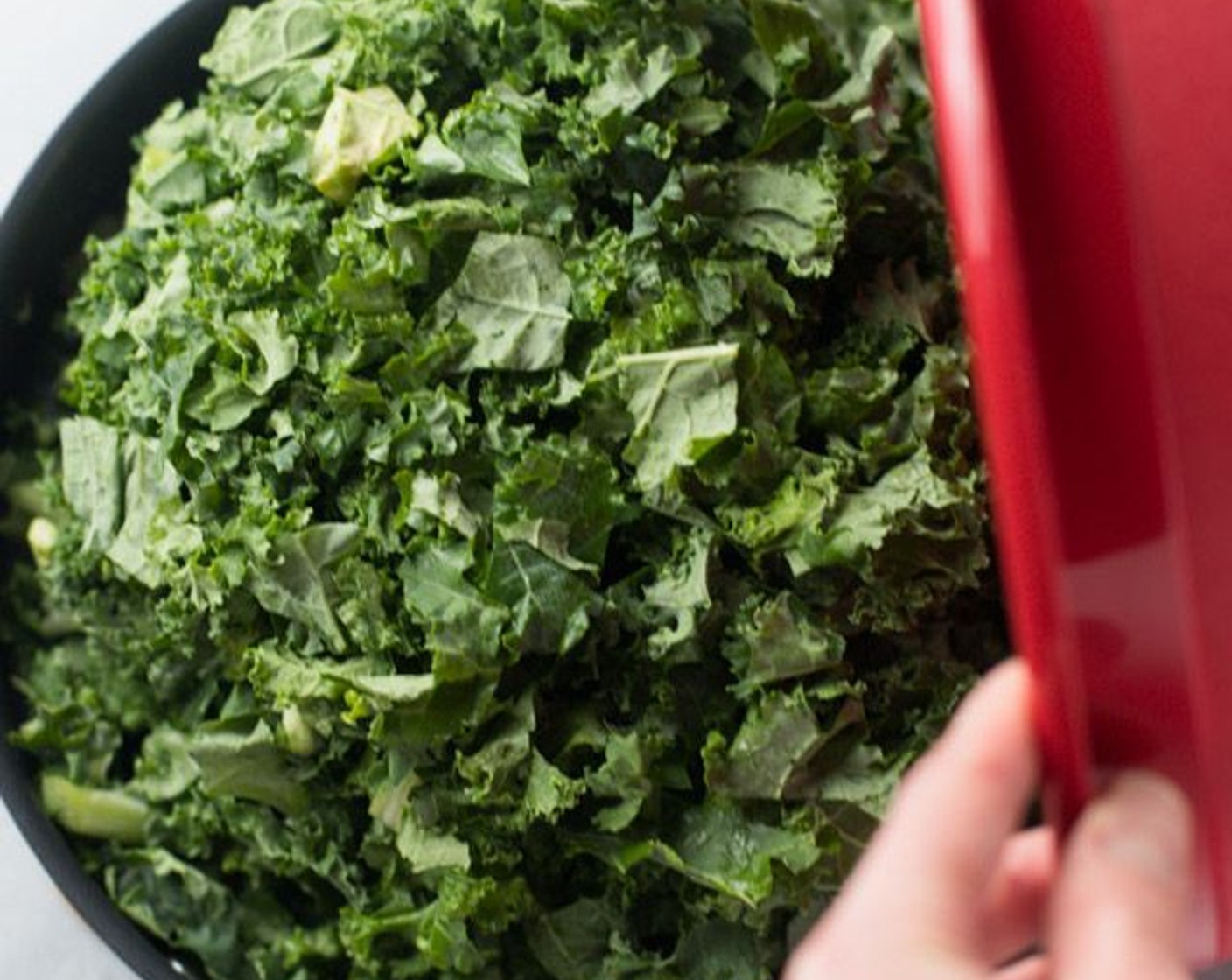 step 4 Place Kale (1 bag) in the sauce pan (it's ok if it's packed tight, it will wilt down over time).