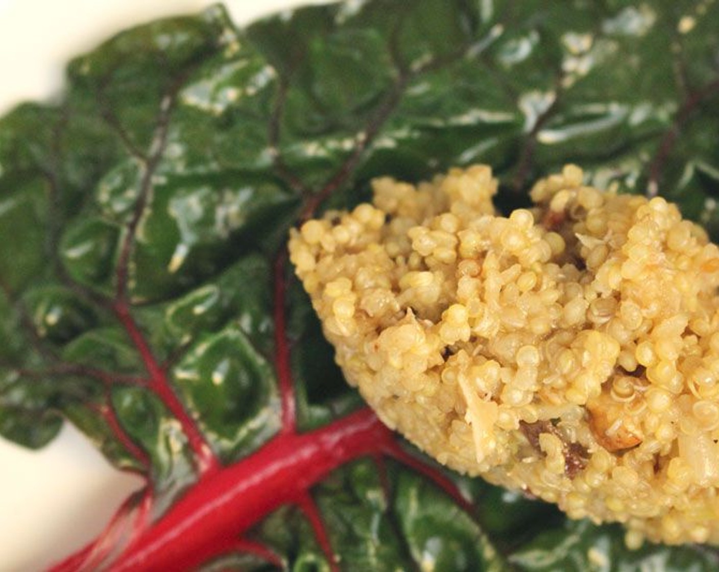 step 8 Scoop some of the quinoa filling on to the center of the chard leaf.
