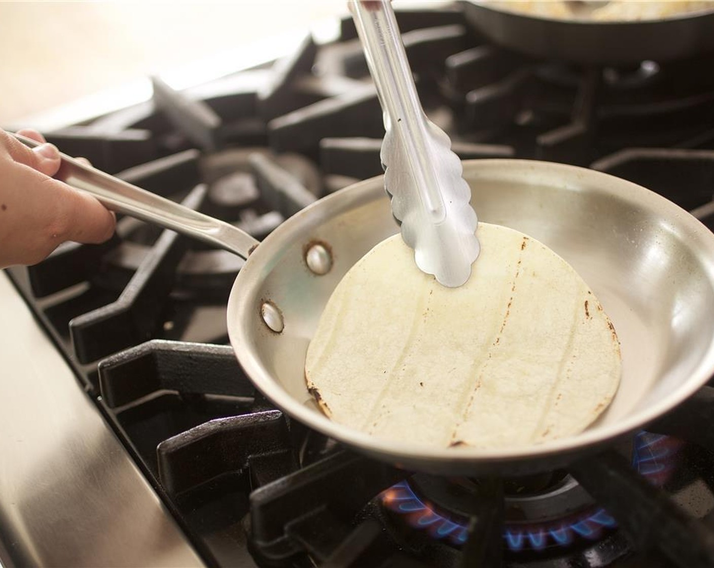 step 9 In a small saute pan over high heat, add White Corn Tortillas (4) one at a time. Cook on each side for thirty seconds until very hot. Wrap the tortillas in foil and set aside for plating.