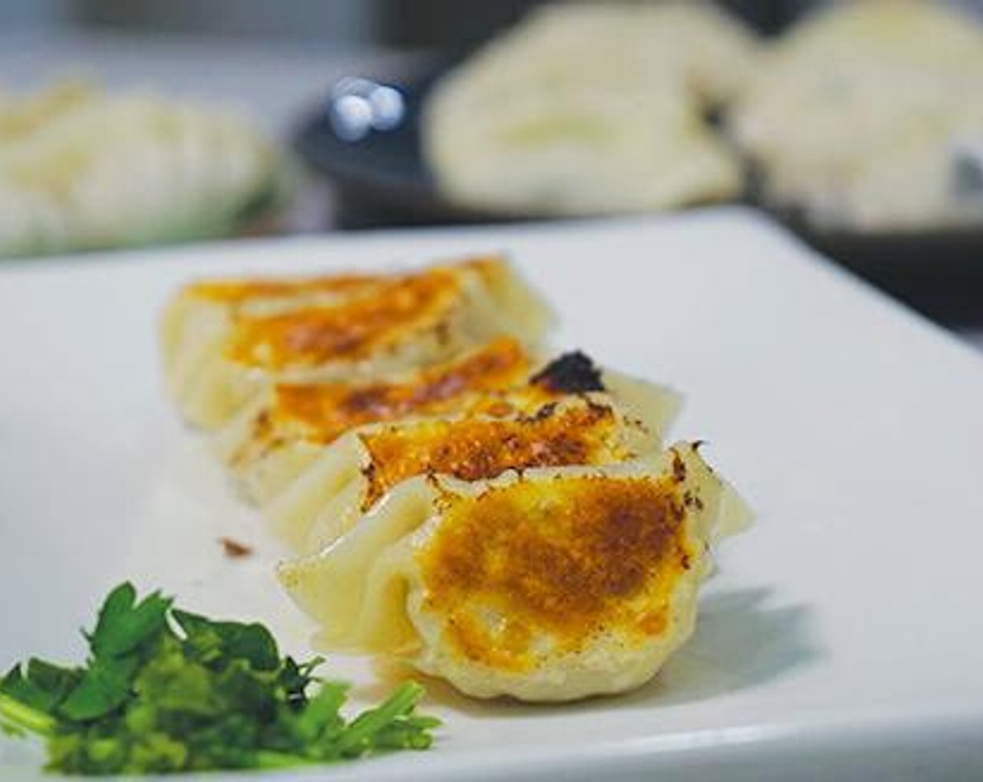 Gyoza