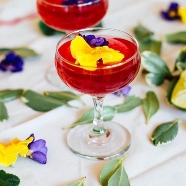 Hibiscus Gin Gimlet Recipe | SideChef