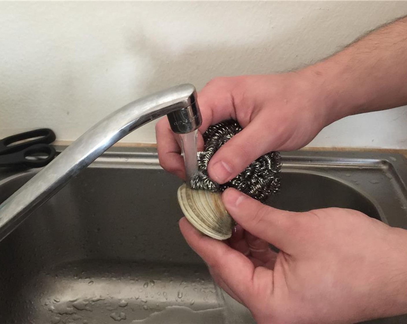 step 3 Using cold, running water, scrub any grit from the clams using iron wool. and return them to the bowl. Once all done, return to the fridge.