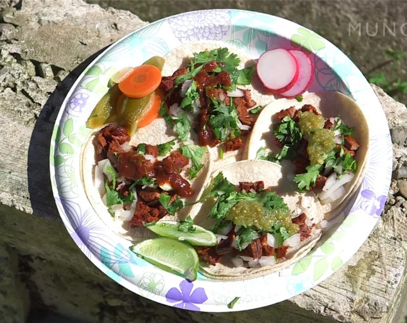 step 9 Place the carne asada on the tortillas and top with onion, cilantro, sliced Radishes (to taste), Lime Wedge and your choice of Salsa Verde (to taste) or Salsa Ranchera (to taste). Serve and enjoy.