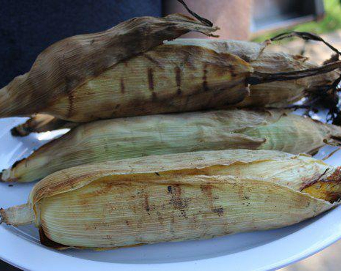 step 1 To grill corn on the cob you don’t need to shuck it or remove the silks. Just get a medium fire and place your Corn Cobs (4) – in the husk – straight on the grill grate. You will jut allow the corn to cook – right in the husk – on the grill for about 15 minutes. You will know it’s done when the corn husk is browned and dry.