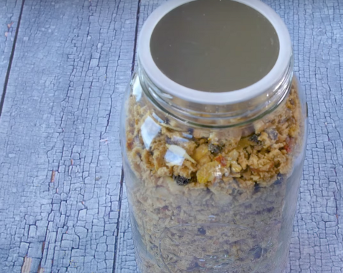 Lacto-Fermented Coconut Oatmeal & Dried Fruit Granola