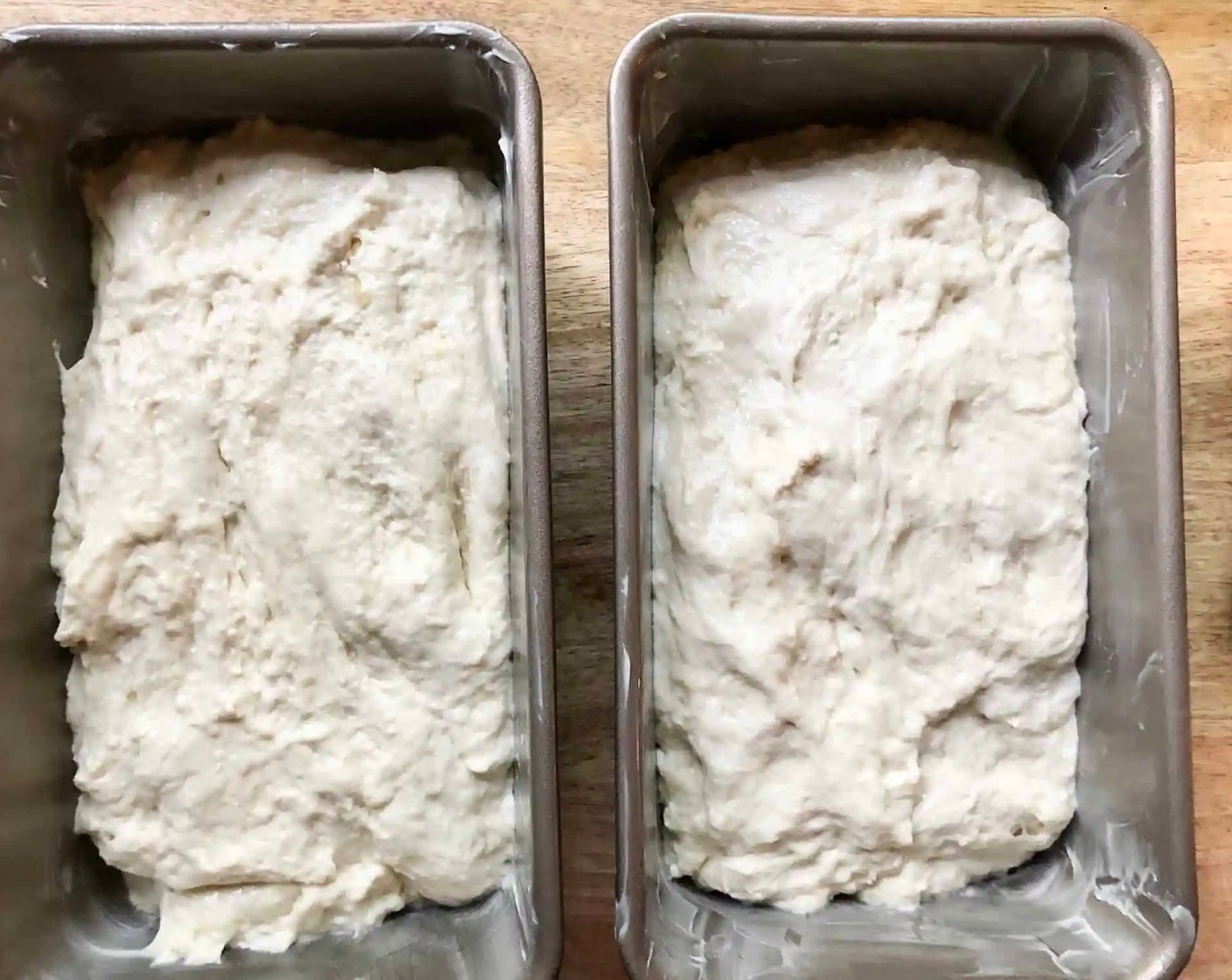 step 5 Using your two forks and working from the center out, separate the dough into two equal pieces. With greased hands lift each half of the dough into a prepared pan. Do not cover the pans.