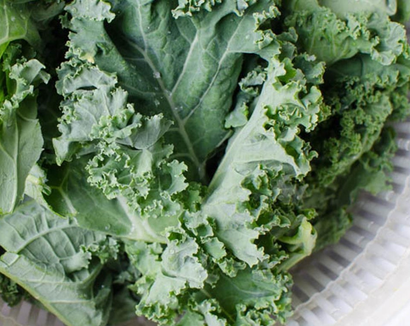 step 4 Rinse the large pieces of Kale (6 stalks) to remove any grit.