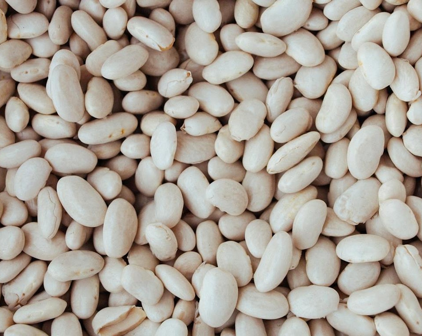 step 1 For Dry Great Northern Beans (2 1/4 cups) wash and remove any beans or pebbles. Soak beans overnight or quick soak them according to package directions. Drain and rinse beans well. Place in a bowl until ready to use. If using canned beans, go on to the next step.